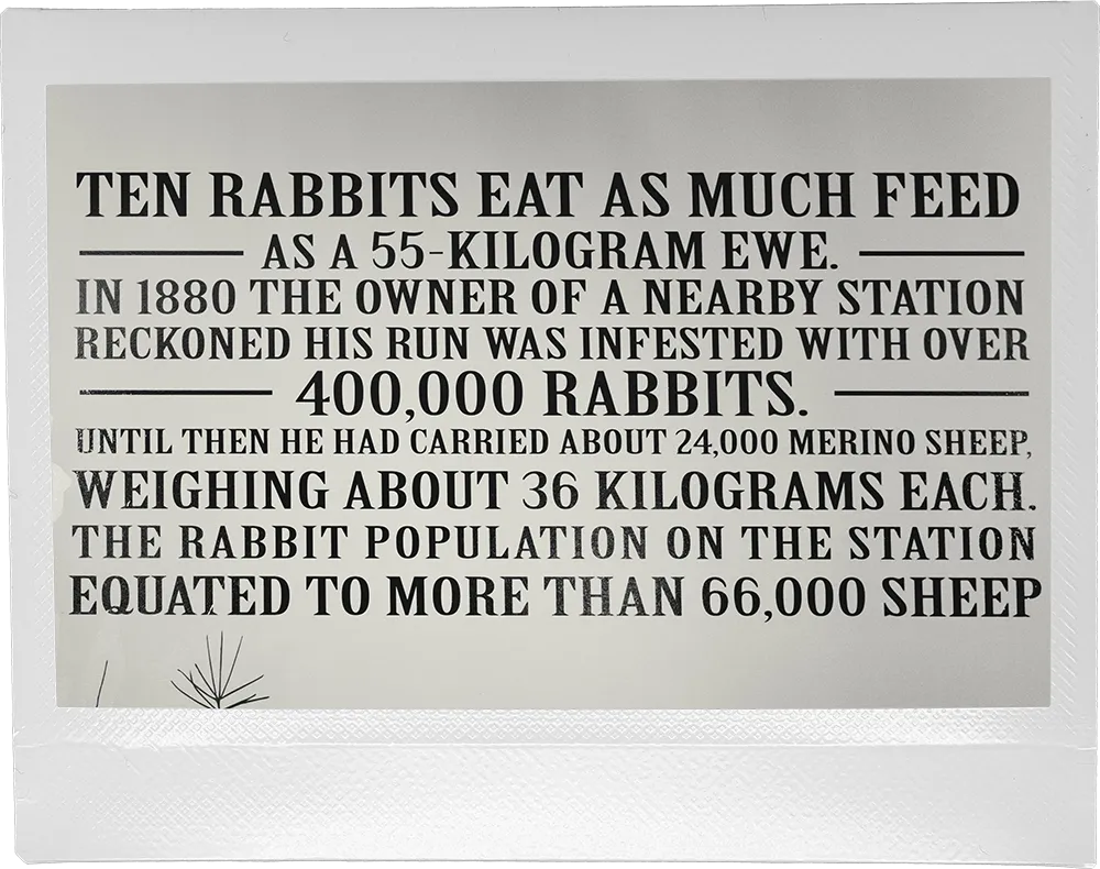 a picture of a picture of a sign in five stags cromwell